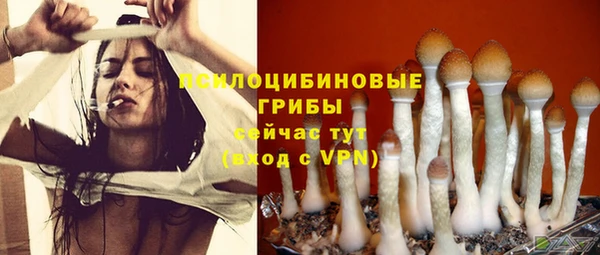 ешки Лиски
