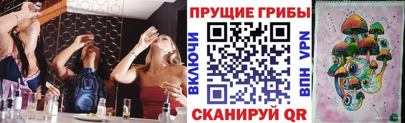 купить   Никольское  Галлюциногенные грибы мухоморы 
